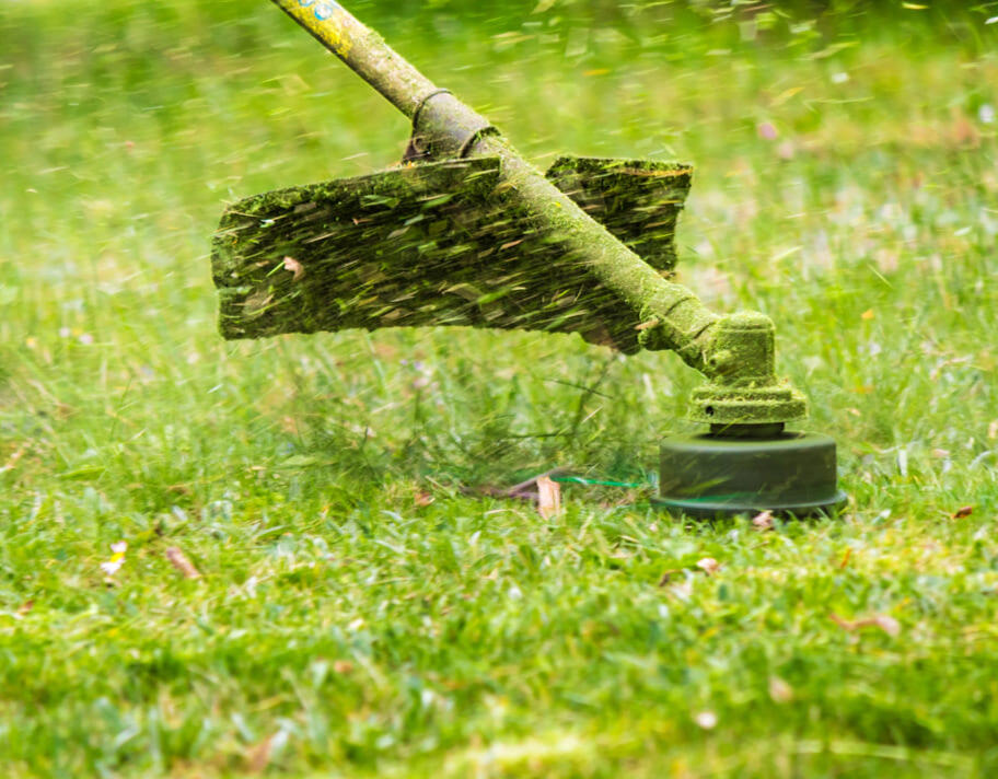 Lawn maintenance service Chesterfield Derbyshire