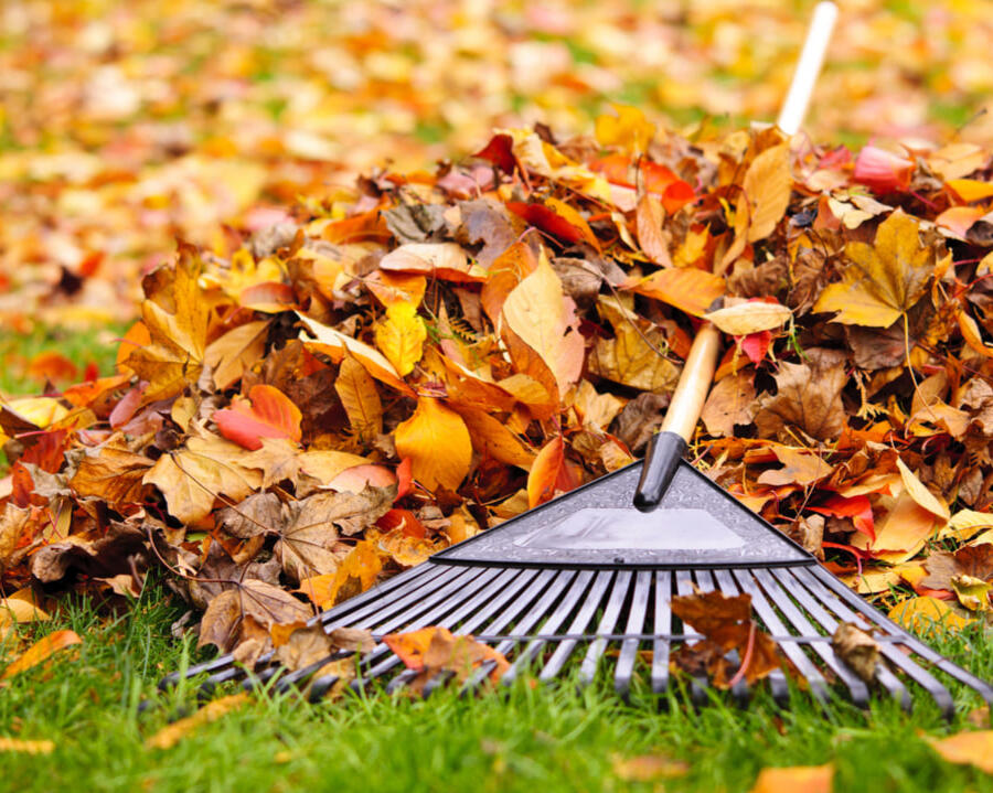 Garden maintenance service Chesterfield Derbyshire